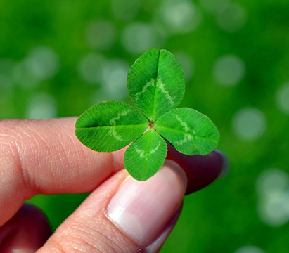 trevo como atrair boa sorte galardians